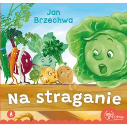 NA STRAGANIE