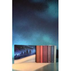 PAKIET THE WORKS OF DOSTOEVSKY. WORDSWORTH BOX SETS