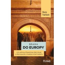 BRAMA DO EUROPY. CZY AFRYKA PÓŁNOCNA ZDECYDUJE O PRZYSZŁOŚCI STAREGO KONTYNENTU