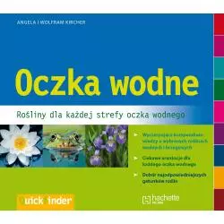 OCZKA WODNE ROŚLINY DLA KAŻDEJ STREFY STAWU OGRODOWEGO 