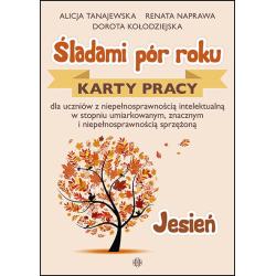 ŚLADAMI PÓR ROKU JESIEŃ