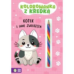 KOTEK I INNE ZWIERZĘTA. KOLOROWANKA Z KREDKĄ