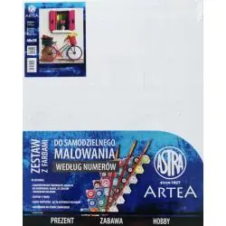 MALOWANIE PO NUMERACH ROWER OBRAZ 40 X 50 CM ASTRA