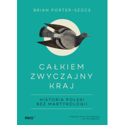 CAŁKIEM ZWYCZAJNY KRAJ. HISTORIA POLSKI BEZ MARTYROLOGII