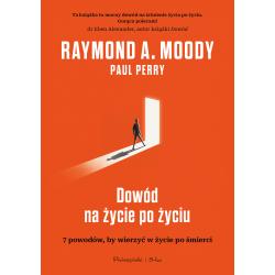 DOWÓD NA ŻYCIE PO ŻYCIU. 7 POWODÓW, BY WIERZYĆ W ISTNIENIE ŻYCIA PO ŻYCIU