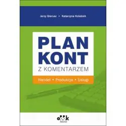 PLAN KONT Z KOMENTARZEM. HANDEL, PRODUKCJA, USŁUGI
