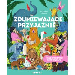 ZDUMIEWAJĄCE PRZYJAŹNIE