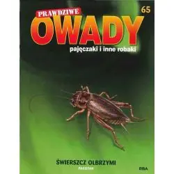 ŚWIERSZCZ OLBRZYMI. PRAWDZIWE, OWADY PAJĘCZAKI I INNE ROBAKI 65