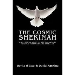 THE COSMIC SHEKINAH