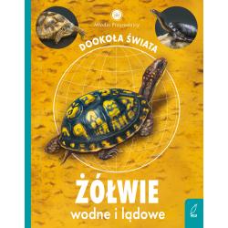 ŻÓŁWIE WODNE I LĄDOWE. MŁODZI PRZYRODNICY