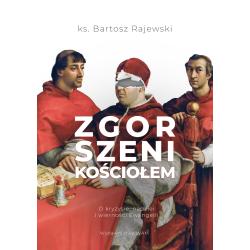 ZGORSZENI KOŚCIOŁEM. O KRYZYSIE NADZIEI I WIERNOŚCI EWANGELII