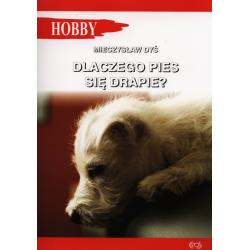 DLACZEGO PIES SIĘ DRAPIE?