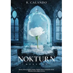 NOKTURN