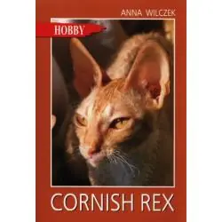 CORNISH REX. PLUSZOWY KOT