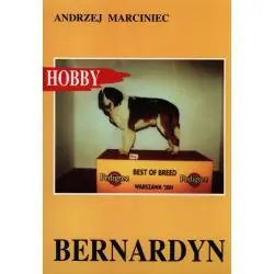 BERNARDYN