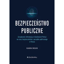 BEZPIECZEŃSTWO PUBLICZNE