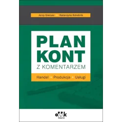 PLAN KONT Z KOMENTARZEM