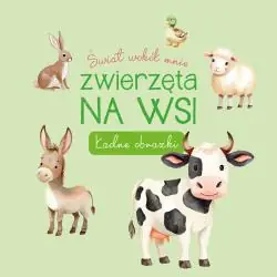 NA WSI. ŁADNE OBRAZKI. ŚWIAT WOKÓŁ MNIE