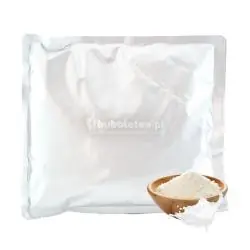 ZABIELACZ W PROSZKU DO SHAKE’ÓW I NAPOJÓW MLECZNYCH 1 KG