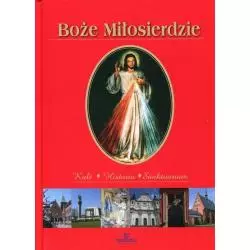 BOŻE MIŁOSIERDZIE Joanna Wilder - Arystoteles