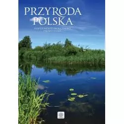 PRZYRODA POLSKA NAJPIĘKNIEJSZE OBLICZA FAUNY I FLORY - Dragon
