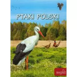 PTAKI POLSKI Elżbieta Zarych