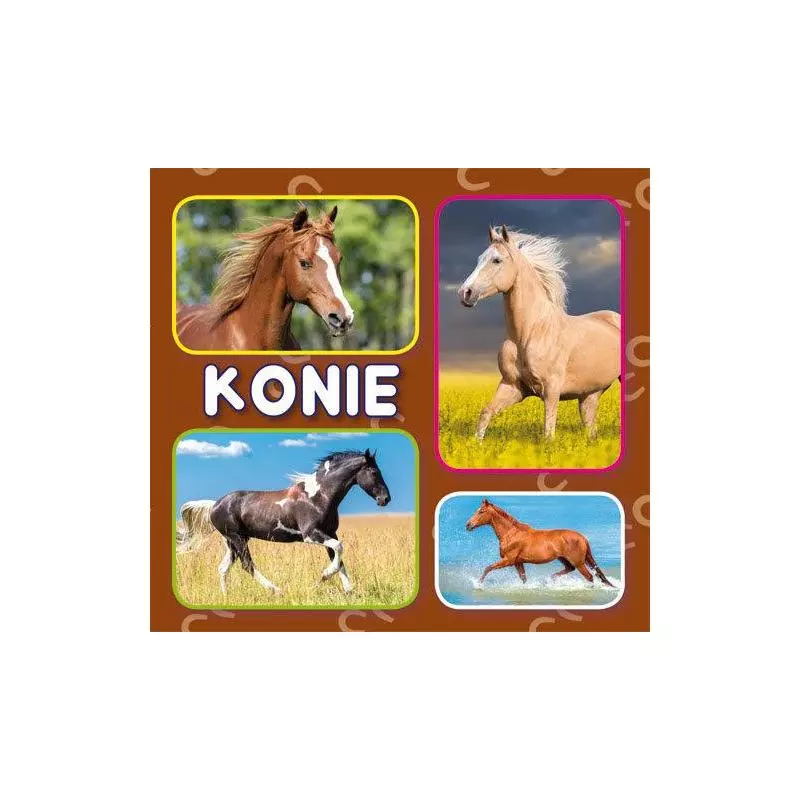 KONIE (HARMONIJKA)