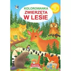 ZWIERZĘTA W LESIE KOLOROWANKA Jarosław Żukowski - Martel