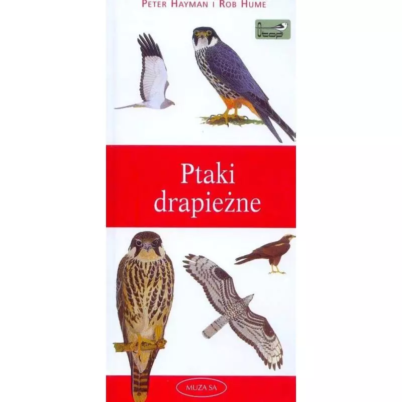 PTAKI DRAPIEŻNE EUROPY PRZEWODNIK ILUSTROWANY Hayman Peter, Hume Rob - Muza PTAKI DRAPIEŻNE EUROPY PRZEWODNIK ILUSTROWANY Hayman Peter, Hume Rob - Muza