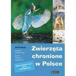 ZWIERZĘTA CHRONIONE W POLSCE Paweł Czapczyk - Publicat