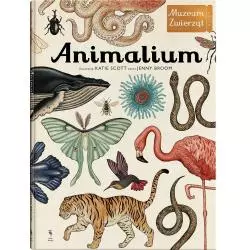 ANIMALIUM MUZEUM ZWIERZĄT 7+ Jenny Broom - Dwie Siostry