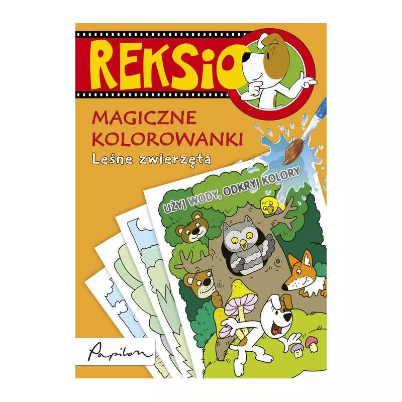 REKSIO MAGICZNE KOLOROWANKI KSIĄZŻECZKA Z NAKLEJKAMI - Papilon