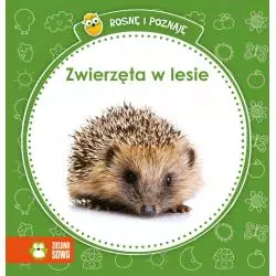 ROSNĘ I POZNAJĘ. ZWIERZĘTA W LESIE 1+ - Zielona Sowa