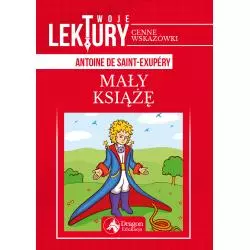 MAŁY KSIĄŻĘ - Dragon