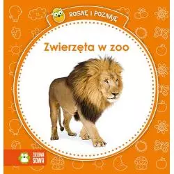 ZWIERZĘTA W ZOO ROSNĘ I POZNAJĘ 1+ - Zielona Sowa