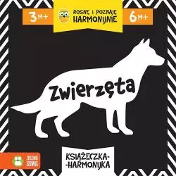 ZWIERZĘTA ROSNĘ I POZNAJĘ HARMONIJNIE 1+ - Zielona Sowa