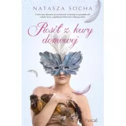 ROSÓŁ Z KURY DOMOWEJ Socha Natasza