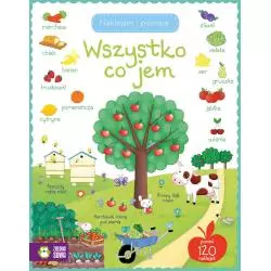 WSZYSTKO CO JEM NAKLEJAM I POZNAJĘ 4+ - Zielona Sowa