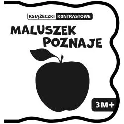 MALUSZEK POZNAJE KSIĄŻECZKI KONTRASTOWE 3M+ - Wilga