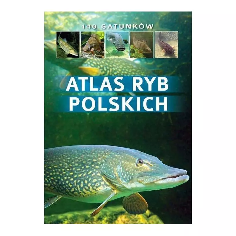 ATLAS RYB POLSKICH WziĄtek, Bogdan