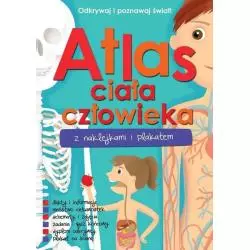 ATLAS CIAŁA CZŁOWIEKA Z NAKLEJKAMI I PLAKATEM