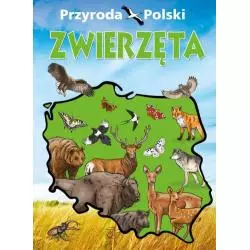 PRZYRODA POLSKI ZWIERZĘTA - SBM