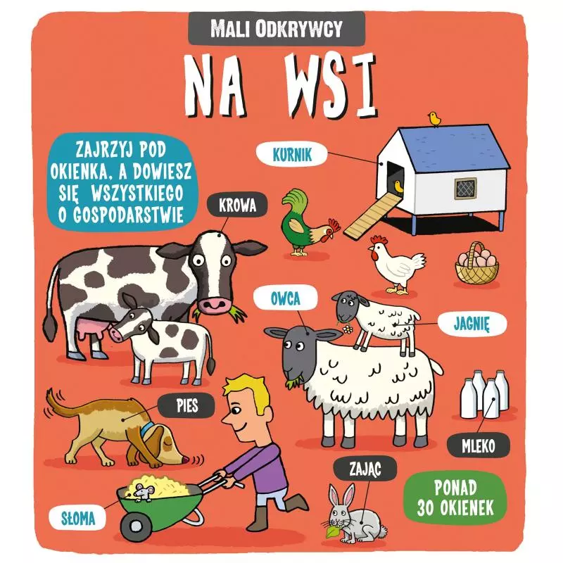 NA WSI MALI ODKRYWCY - Wilga