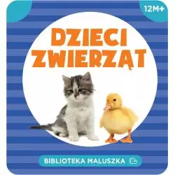 DZIECI ZWIERZĄT BIBLIOTECZKA MALUSZKA 12+ - Wilga