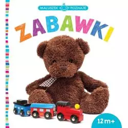 ZABAWKI MALUSZEK POZNAJE 12M+ - Wilga