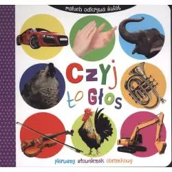 CZYJ TO GŁOS MALUCH ODKRYWA ŚWIAT - Wilga