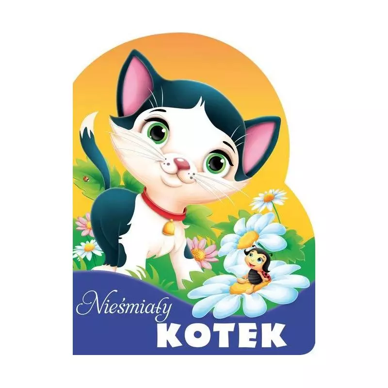 NIEŚMIAŁY KOTEK 