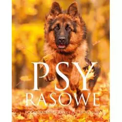 PSY RASOWE 100 NAJCIEKAWSZYCH RAS - SBM