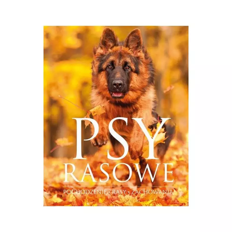 PSY RASOWE 100 NAJCIEKAWSZYCH RAS - SBM