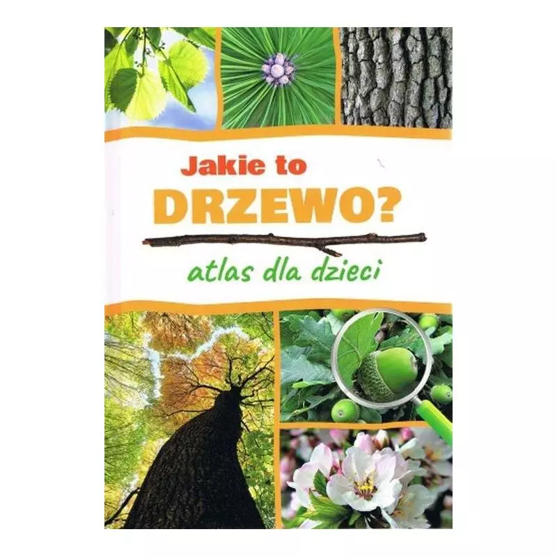 JAKIE TO DRZEWO ? ATLAS DLA DZIECI Halarewicz Aleksandra - SBM